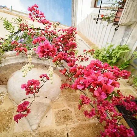 Oda ve Kahvaltı Sacratum